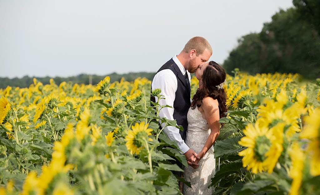 Love Letter Wedding Films | 1613 Kinburn Side Rd, Kinburn, ON K0A 2H0, Canada | Phone: (416) 689-7884