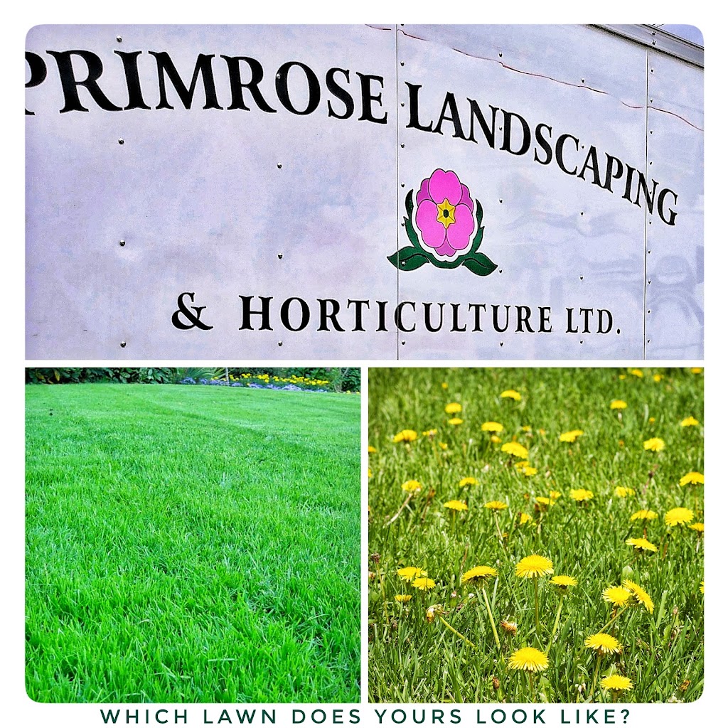 Primrose Landscaping & Horticulture Ltd | 2042 Primrose St, Abbotsford, BC V2S 2Z1, Canada | Phone: (778) 552-6774