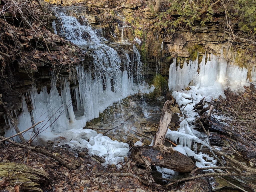 Silver Creek Conservation Area | Fallbrook Trail & Side Rd 27, Halton Hills, ON L7G 4S4, Canada | Phone: (800) 367-0890