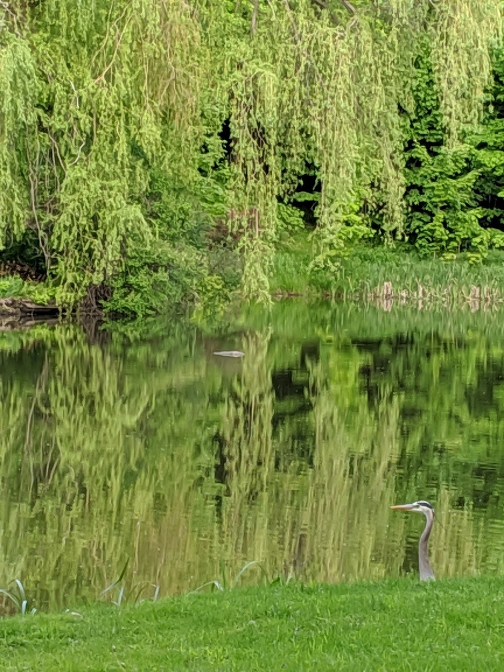 Lac aux Canards | Saint-Jérôme, QC J7Z 1X4, Canada