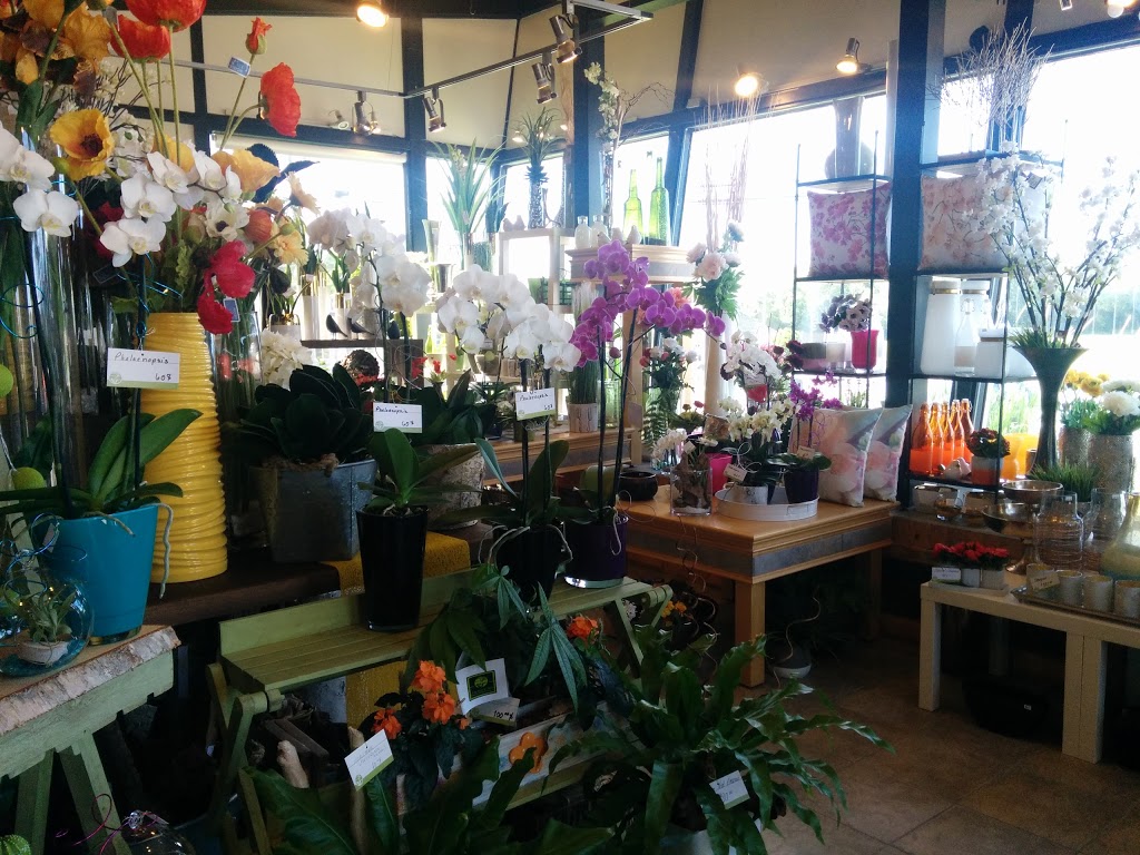 À la Boîte à Fleurs | 3266 Boulevard Sainte-Rose, Laval, QC H7P 4K8, Canada | Phone: (450) 622-0341