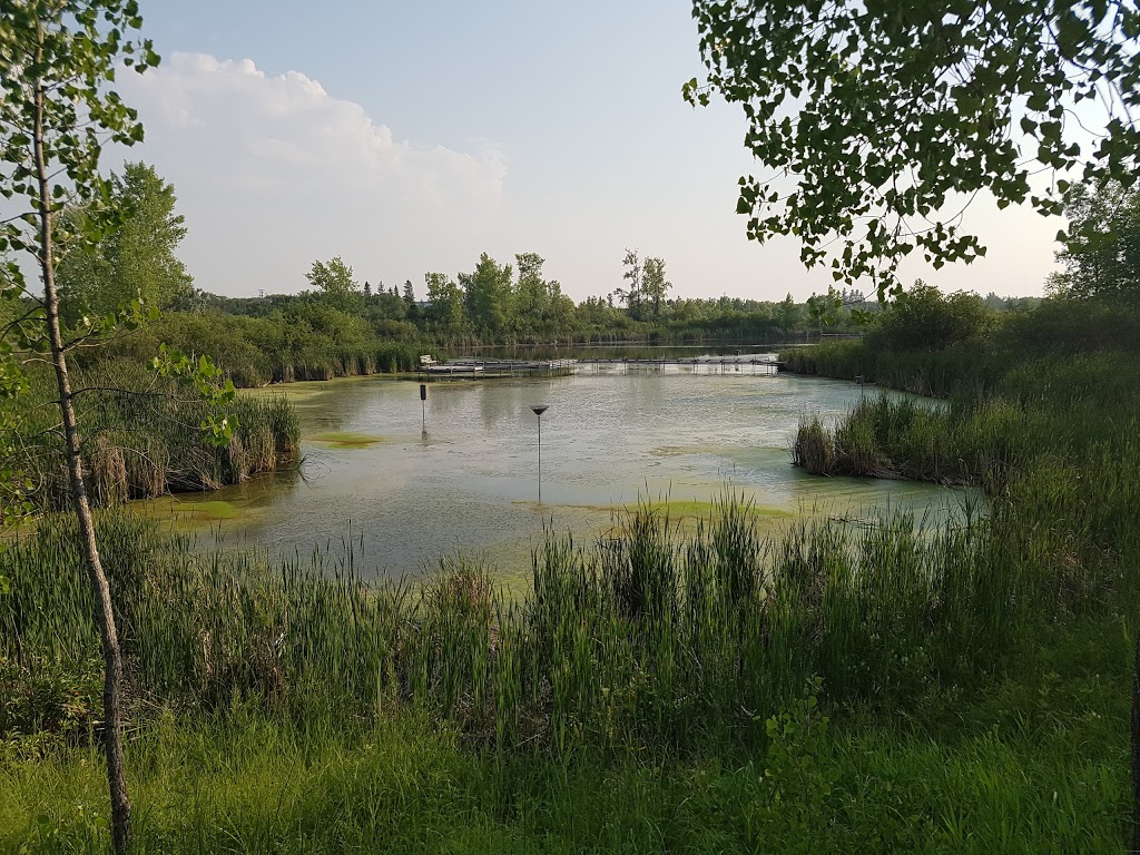 FortWhyte Alive Bison Lookout | Unnamed Rd,, Winnipeg, MB R3P 0S8, Canada