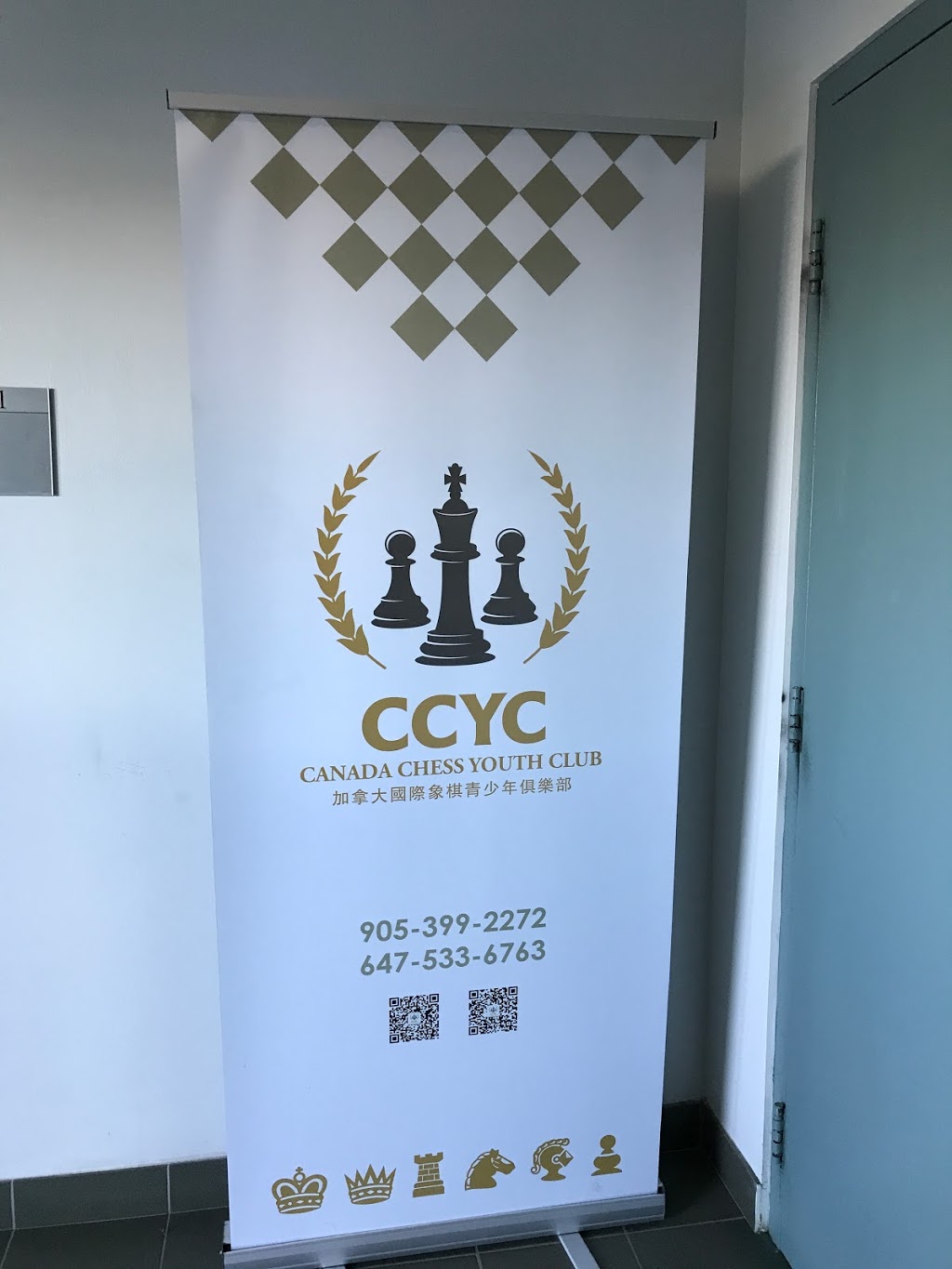 Chess school CCYC | 165 East Beaver Creek Rd unit 20, Richmond Hill, ON L4B 2N2, Canada | Phone: (647) 567-6670