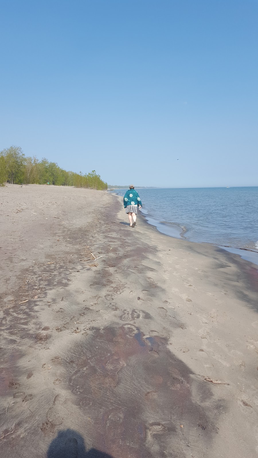 Long Point Birding Trail 6 (Crown Marsh) | Erie Blvd, Port Rowan, ON N0E 1M0, Canada