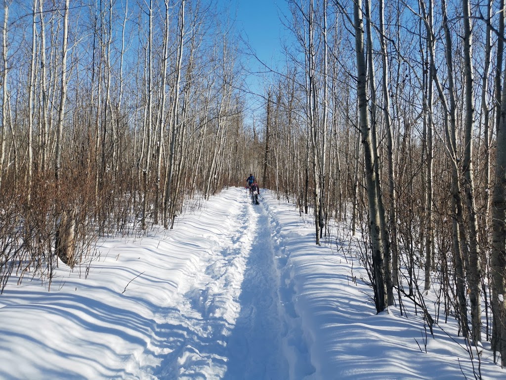 Hayburger trailhead # 1 - Elk Island National Park | Fort Saskatchewan, AB T8L 2N7, Canada | Phone: (780) 922-5790