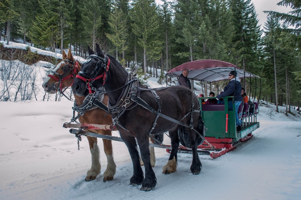 Blackcomb Sleigh Rides | 4890 Glacier Dr, Whistler, BC V0N 1B4, Canada | Phone: (604) 932-7631