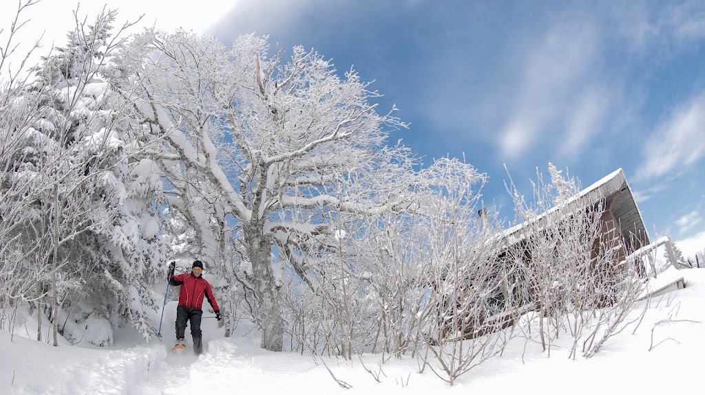 Montagne du Diable Regional Park | 1100 chemin léandre-meilleur, Ferme-Neuve, QC J0W 1C0, Canada | Phone: (877) 587-3882