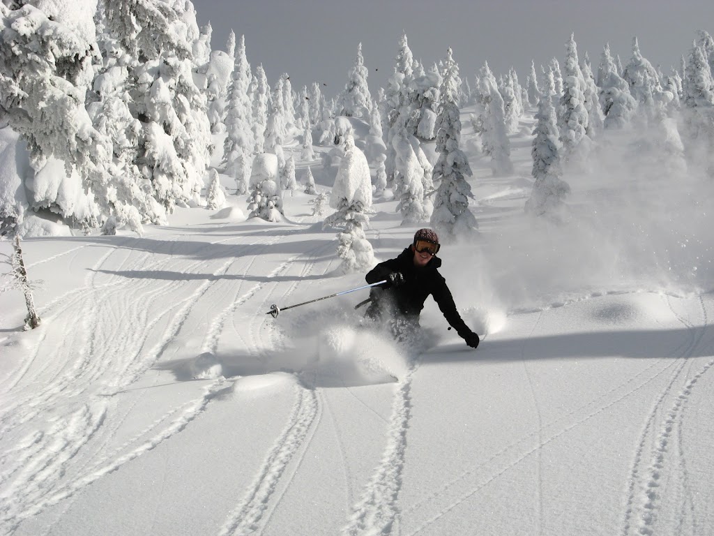 Selkirk Powder Descents | 858 Ohlhausen Rd, Revelstoke, BC V0E 3K0, Canada | Phone: (250) 837-1684