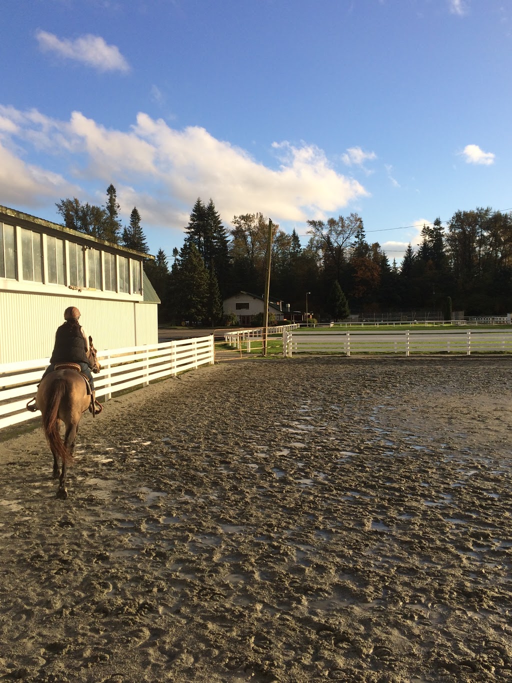 Maple Ridge Equi Sports Center | 21973 132 Ave, Maple Ridge, BC V4R 0A7, Canada | Phone: (604) 467-5616