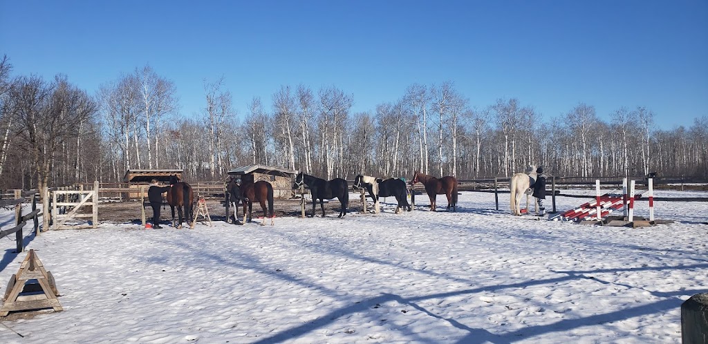 Ride like the Wind Equestrian and Wellness Center | 59119 Pleasant Rd, Anola, MB R5L 0E7, Canada | Phone: (204) 795-6084