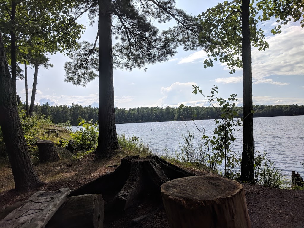 Frontenac Provincial Park Site 2 | South Frontenac, ON K0H 2T0, Canada