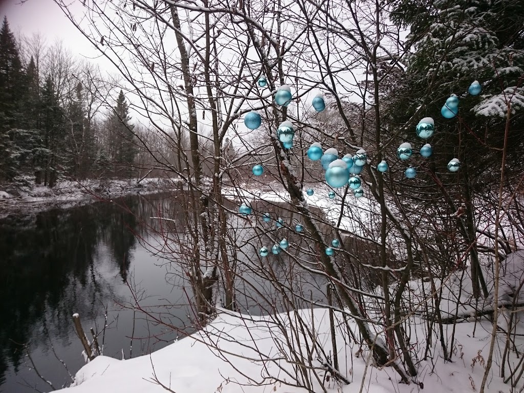 Stationnement du Parc linéaire de la rivière Saint-Charles | Boulevard de la Colline, Québec, QC G3E 1H3, Canada