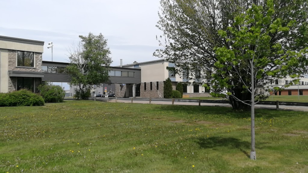 Collège dAlma | 675 Bd Auger O, Alma, QC G8B 2B7, Canada | Phone: (418) 668-2387