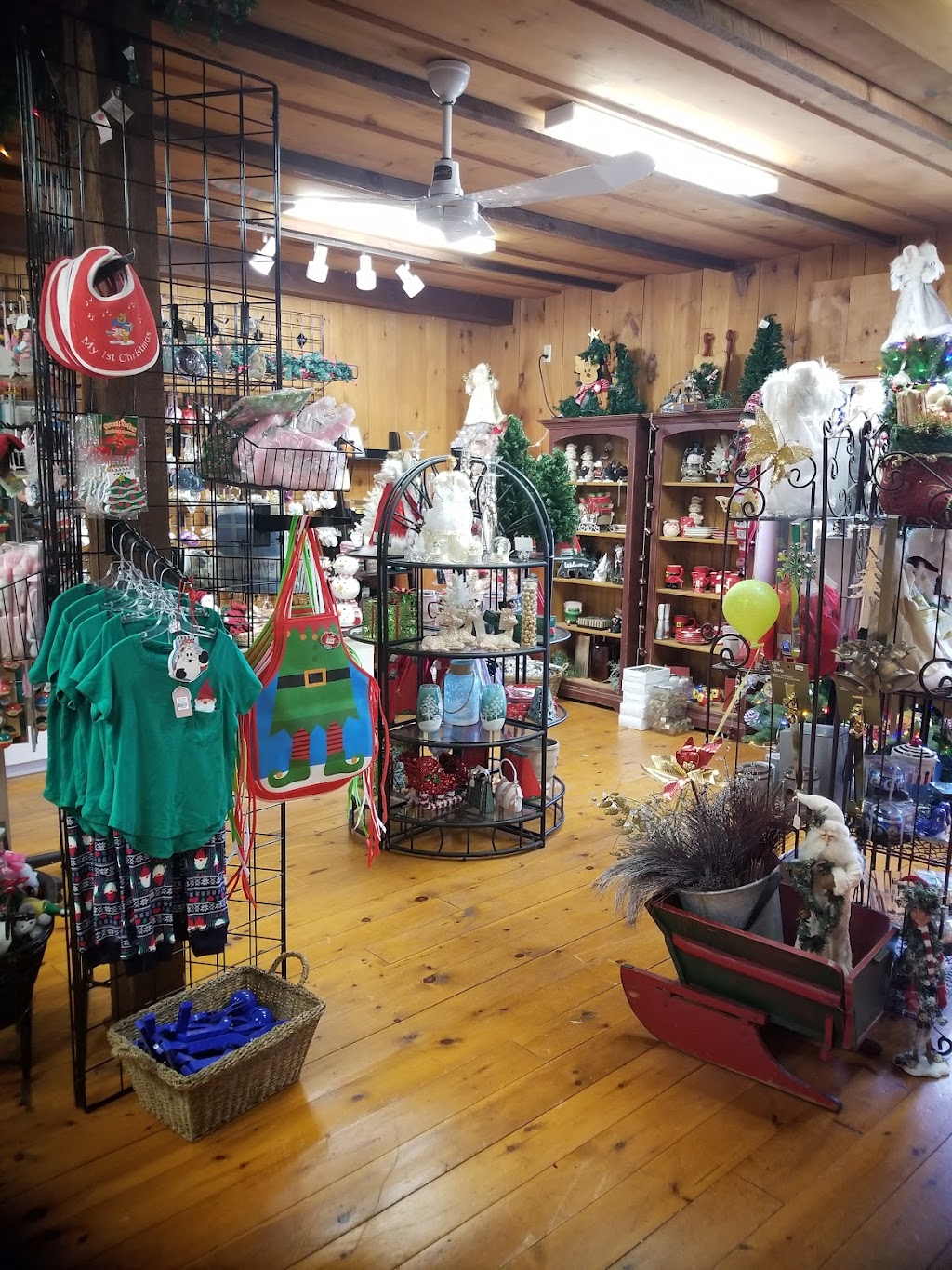 Snow N Sand | 12 Francis St W, Fenelon Falls, ON K0M 1N0, Canada | Phone: (705) 887-7000