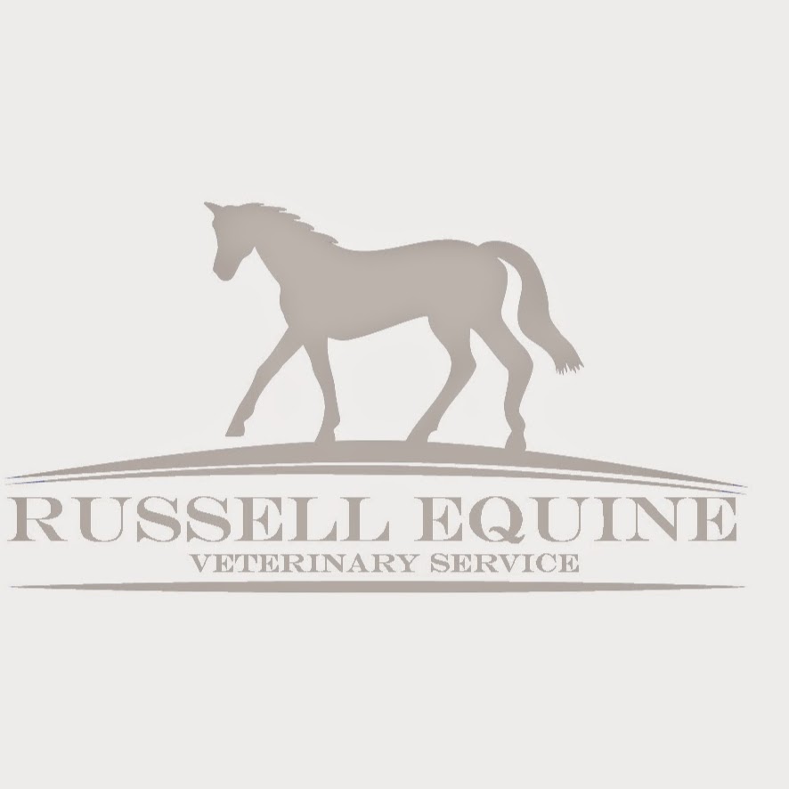 Russell Equine Veterinary Service | 383 Rte 100, Russell, ON K4R 1E5, Canada | Phone: (613) 445-3521