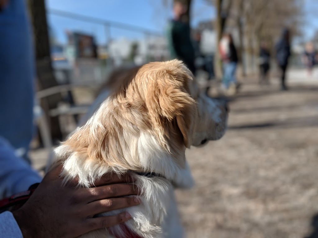 Dog Park | The Glebe, Ottawa, ON K1S 5N5, Canada