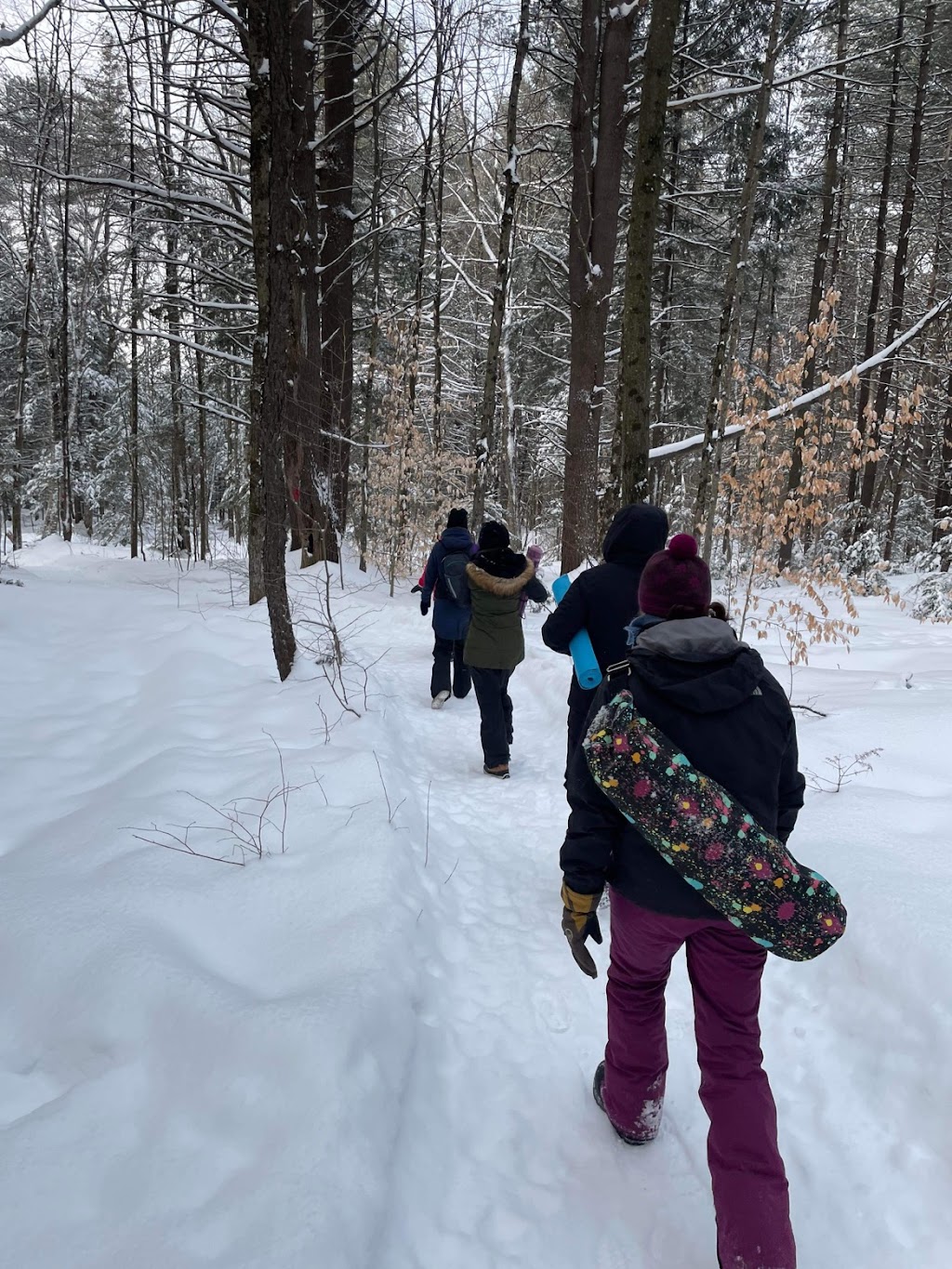 Yoga Nature Cours Plein Air | 1095 Rue du Geai-Bleu, Saint-Jérôme, QC J5L 1E5, Canada | Phone: (514) 258-8413