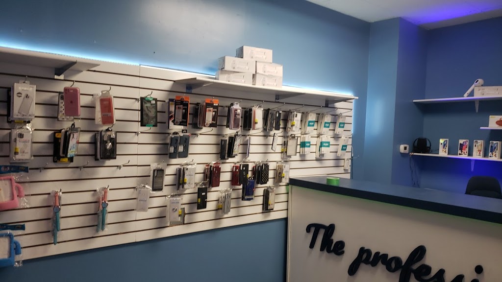 The Professional | 1153 Lauzon Rd, Windsor, ON N8S 3M9, Canada | Phone: (519) 999-1120