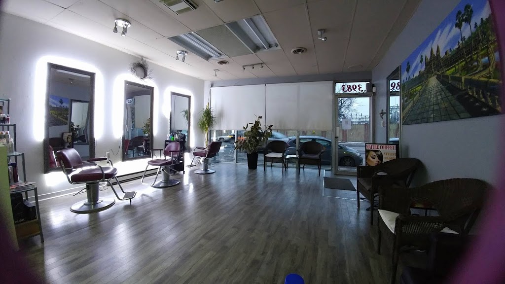 Maître Coiffeur Homa 2001 | 3983 Rue Hochelaga, Montréal, QC H1W 1K2, Canada | Phone: (514) 255-0888