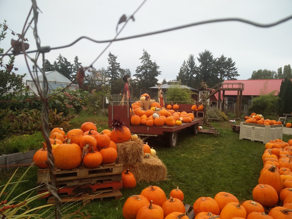 Dans Farm & Country Market | 2030 Bear Hill Rd, Saanichton, BC V8M 1X7, Canada | Phone: (250) 652-9100