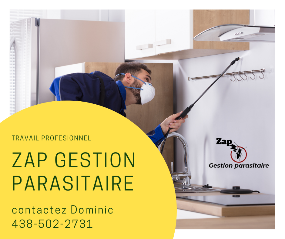 Zap Gestion Parasitaire | 351 Chemin de la Branche-du-Rapide, Marieville, QC J3M 1N9, Canada | Phone: (438) 502-2731