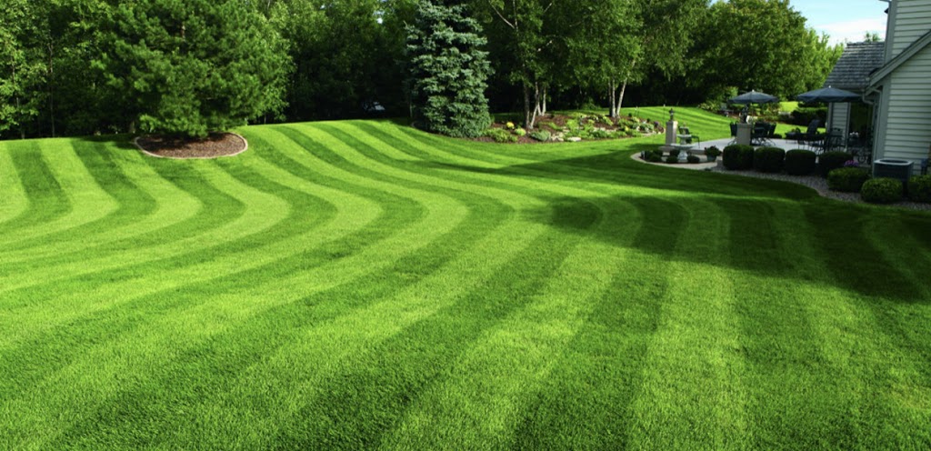 Green Thumb Landscaping Burlington | 3077 Guelph Line, Burlington, ON L7P 0S8, Canada | Phone: (905) 335-0752