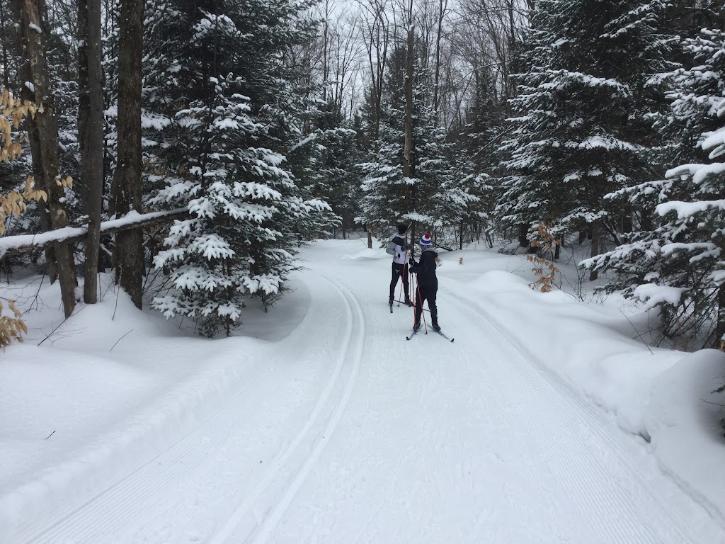 Centre De Ski De Fonds Gai-Luron | 2155 Mnt Sainte-Thérèse, Saint-Jérôme, QC J5L 2L2, Canada | Phone: (450) 224-5302