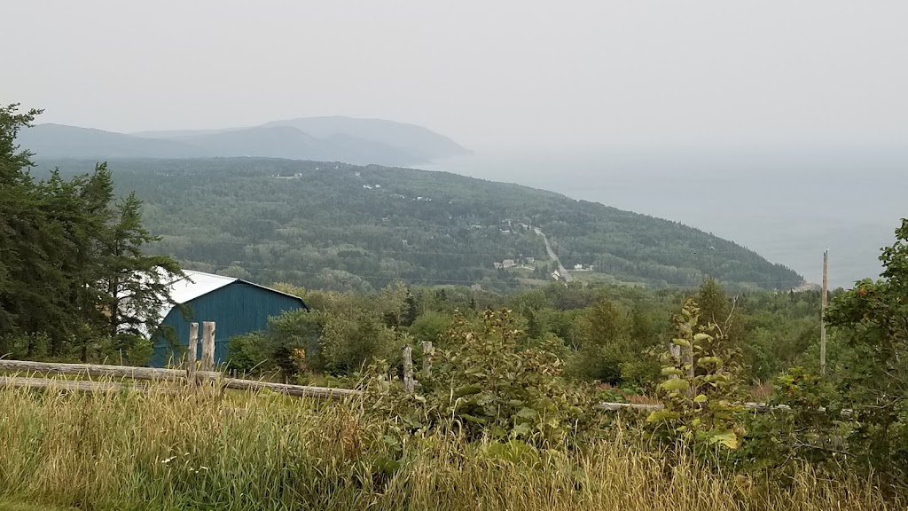 Ferme de l’Âne du Saint-Laurent | 975 Chem. de Port au Persil, Saint-Siméon, QC G0T 1X0, Canada | Phone: (418) 638-1264