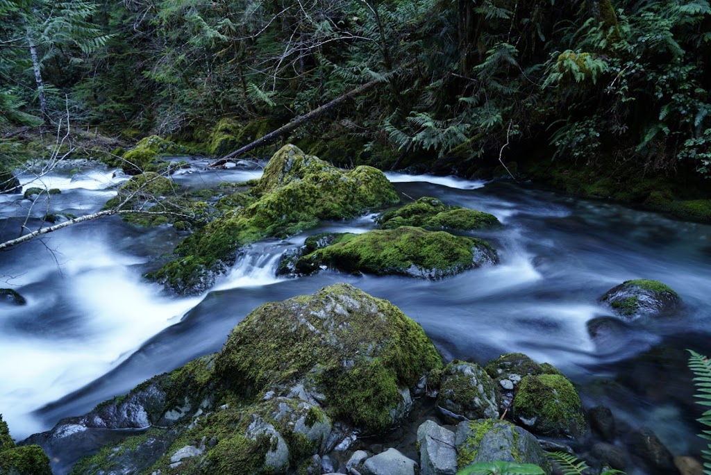 Fossli Park Trail | Unnamed Road, Alberni-Clayoquot D, BC V0R 2B0, Canada | Phone: (250) 720-2700