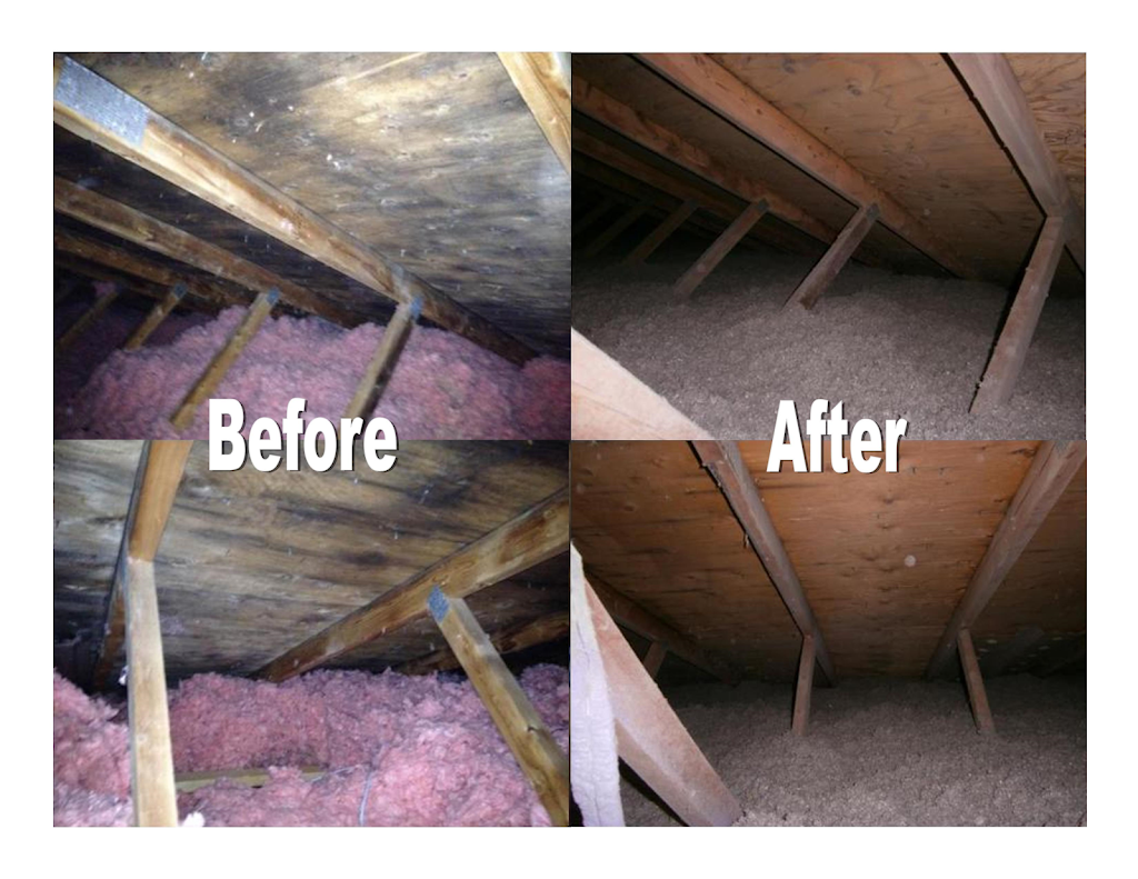 Absolute Mold Remediation Ltd. - Attic Specialists - Burlington | 3210 Centennial Dr, Burlington, ON L7M 1C2, Canada | Phone: (800) 578-1291