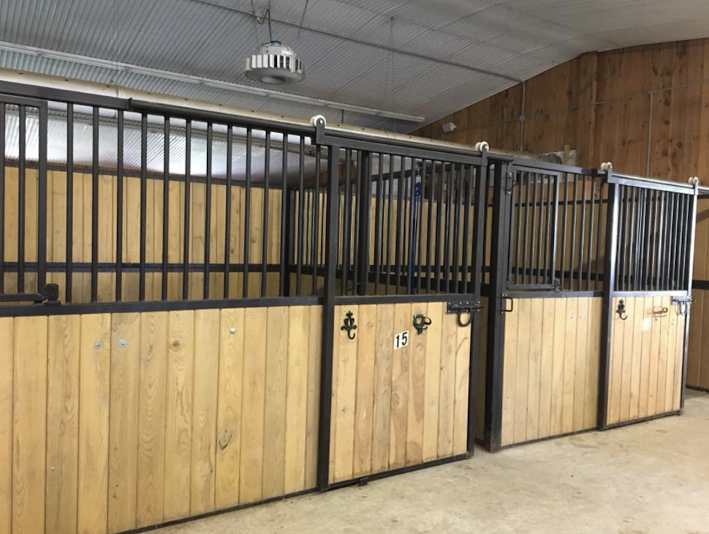 All About Horses | 8957 Northville Rd, Thedford, ON N0M 2N0, Canada | Phone: (226) 678-1471