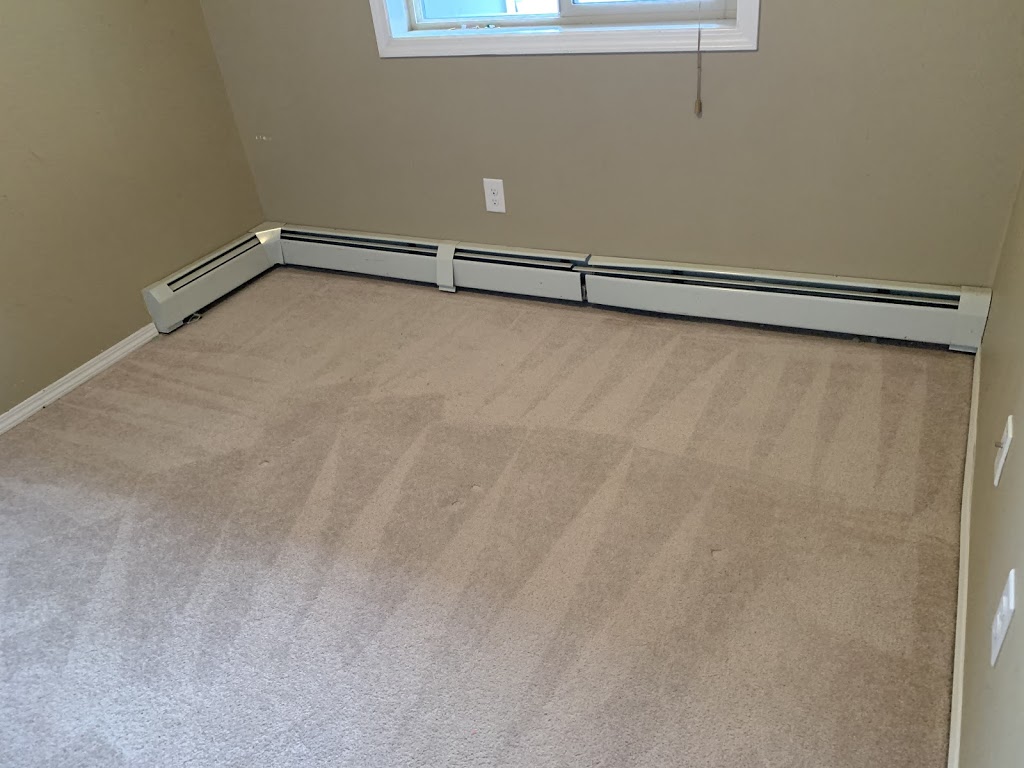 Dirt Army Carpet Cleaning | 2828 20 Ave NW, Edmonton, AB T6T 0L9, Canada | Phone: (780) 278-0133