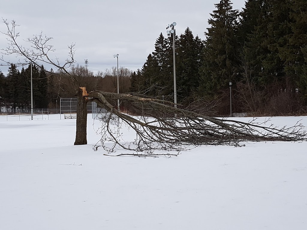 Vandorf Park | Gormley, ON L0H 1G0, Canada