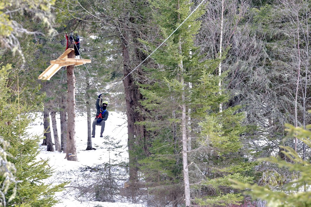 TimberTop Zip Tours | 461 Snider Mountain Rd, Snider Mountain, NB E5P 4B4, Canada | Phone: (506) 657-6060