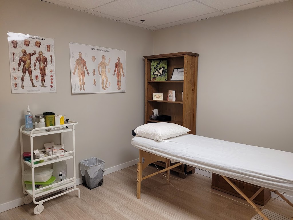 Caroline Dufour Acupuncture | 3608 Saint-Charles Blvd #16, Kirkland, QC H9H 3C3, Canada | Phone: (514) 674-1674