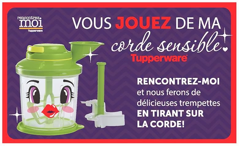 Boutique Tupperware - Les Audacieux | 2127 Rue Hudson, Jonquière, QC G7S 3R5, Canada | Phone: (581) 234-6761