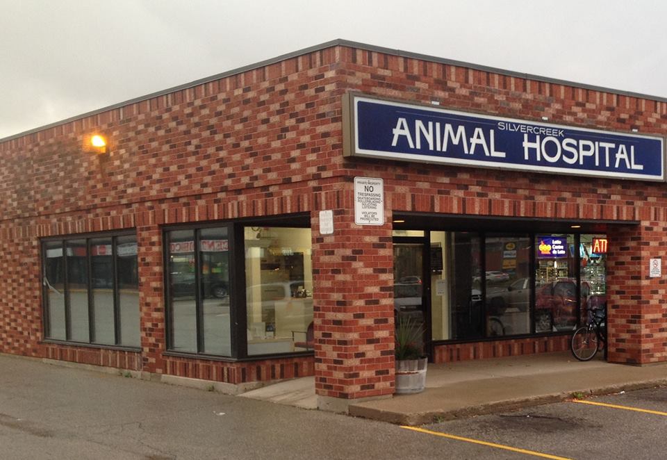 Silvercreek Animal Hospital | 130 Silvercreek Pkwy N, Guelph, ON N1H 7Y5, Canada | Phone: (519) 837-2770