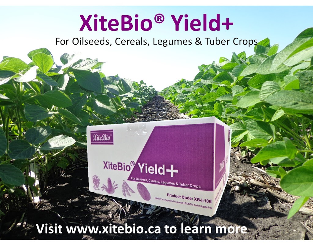 XiteBio Technologies | 3194 St Marys Rd, Winnipeg, MB R2N 4A8, Canada | Phone: (204) 257-0775