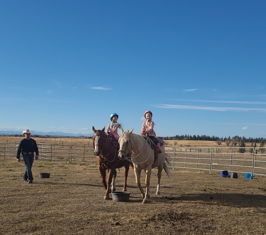 Rocky Mountain Horsemanship | 241081 Range Rd 33, rockyview county, AB T3Z 1M7, Canada | Phone: (587) 892-3333