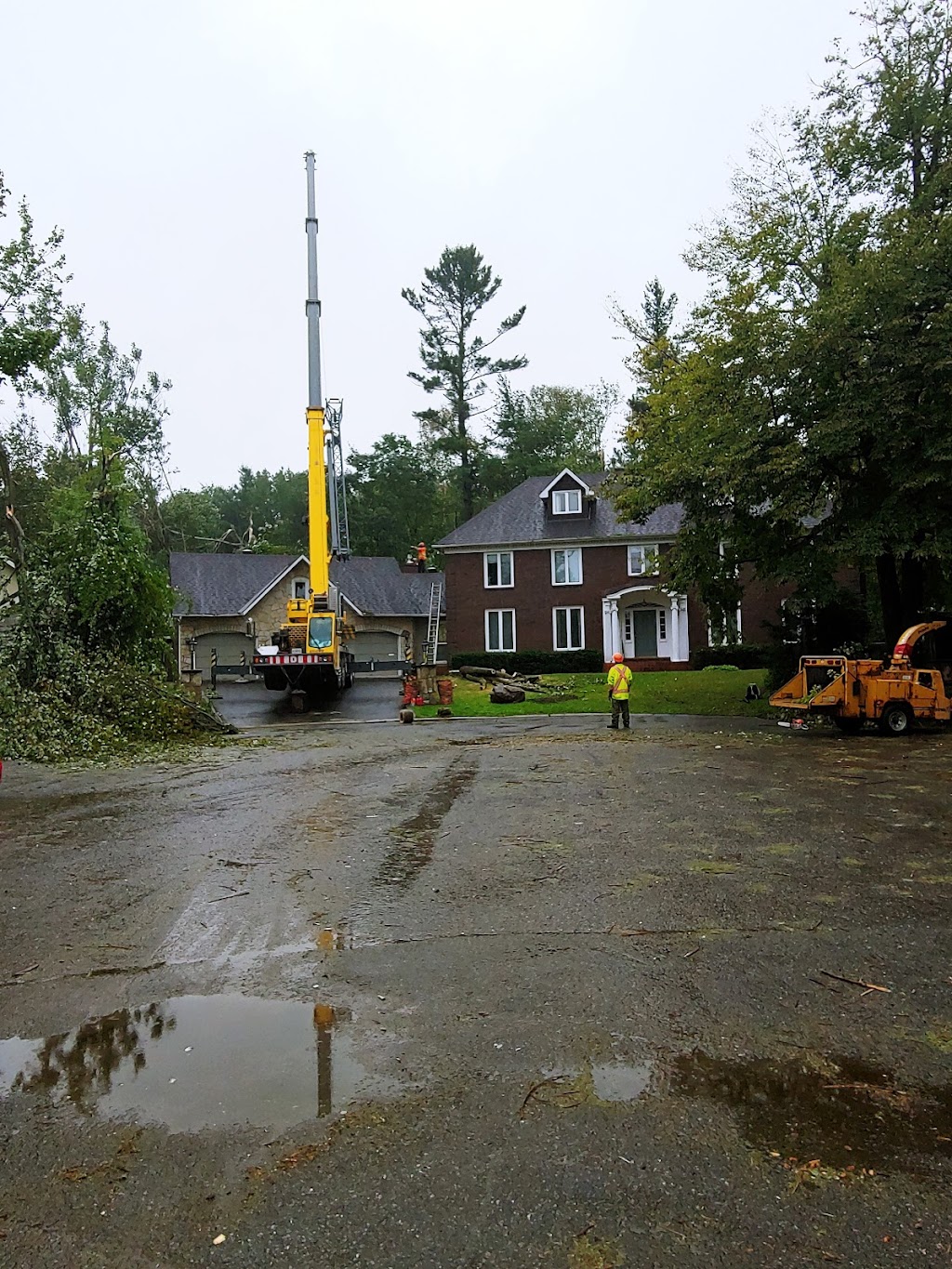 Tree Climbers | 5036 Thunder Rd, Carlsbad Springs, ON K0A 1K0, Canada | Phone: (613) 860-8733