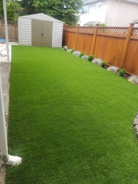 Turf Dealers Inc. | 3814 Beatrice St, Vancouver, BC V5N 4H5, Canada | Phone: (604) 307-8873