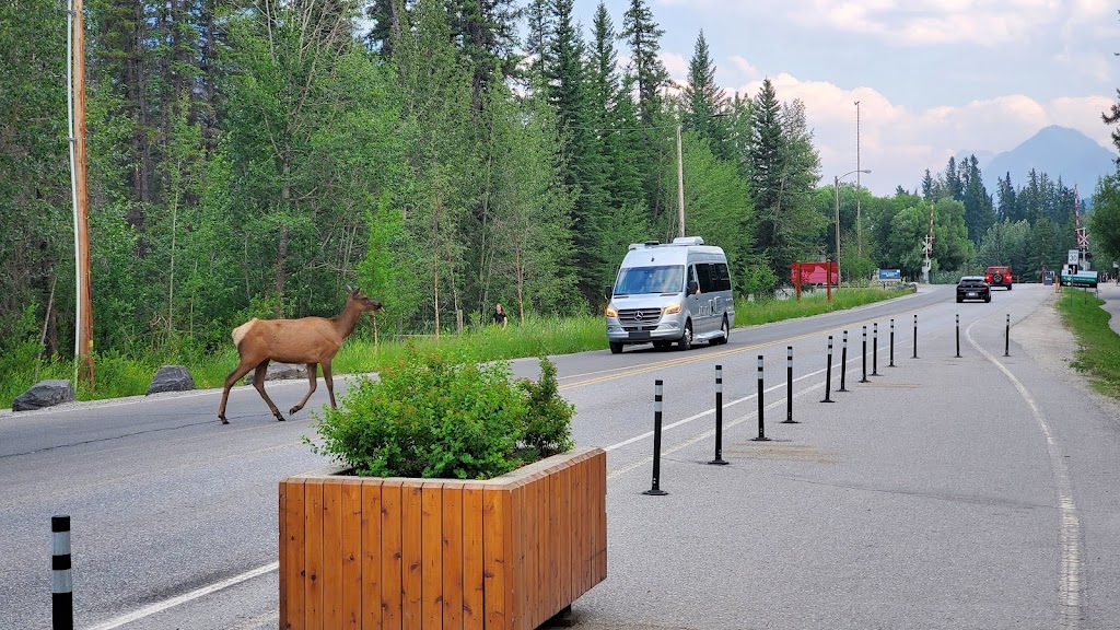 Banff Town Sign | 101 Mt Norquay Rd, Banff, AB T1L 1C3, Canada | Phone: (403) 762-8421