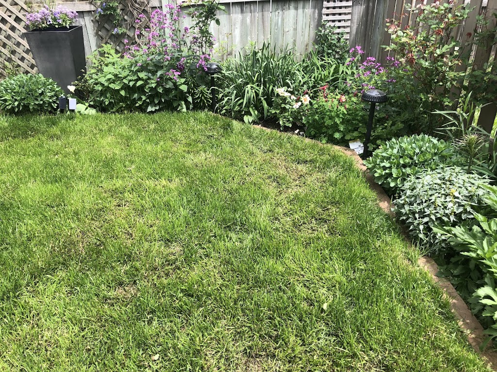 Weed Man Lawn Care | 2399 Royal Windsor Dr, Mississauga, ON L5J 1K9, Canada | Phone: (905) 827-1441