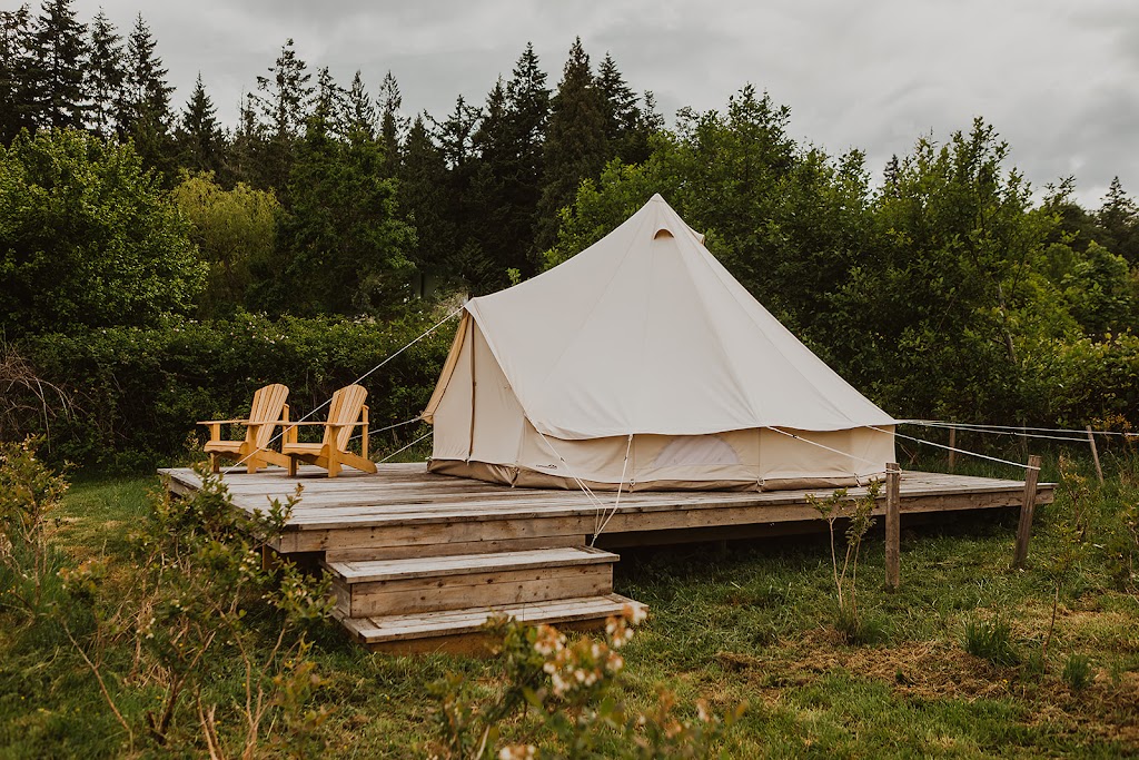 Little Tribune Farm | 6160 Central Rd, Hornby Island, BC V0R 1Z0, Canada | Phone: (250) 702-3316