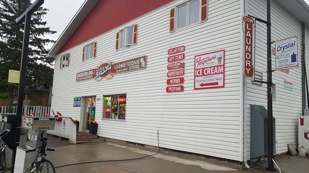 Wilsons Corner Store | 6117 King St, Mindemoya, ON P0P 1S0, Canada | Phone: (705) 377-4010