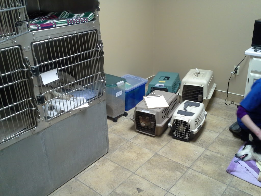 Welland & District Regional Spay Neuter clinic | 700 E Main St, Welland, ON L3B 3Y4, Canada | Phone: (289) 820-9651