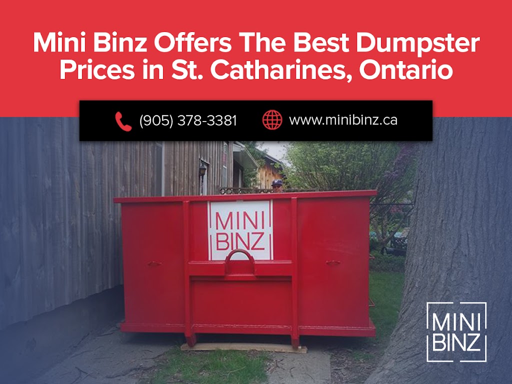 Mini Binz | 1900 Allanport Rd, Allanburg, ON L0S 1A0, Canada | Phone: (905) 378-3381