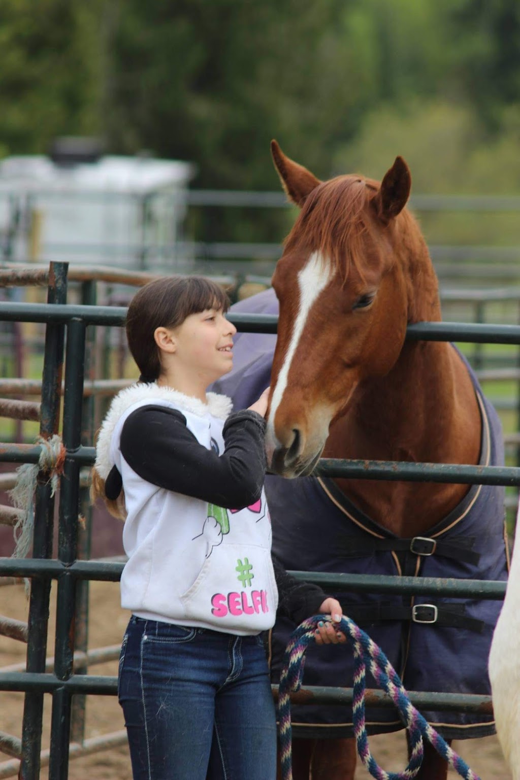 Teixeira Performance Stables | 6741 60 St NE, Canoe, BC V0E 1K0, Canada | Phone: (250) 803-6003