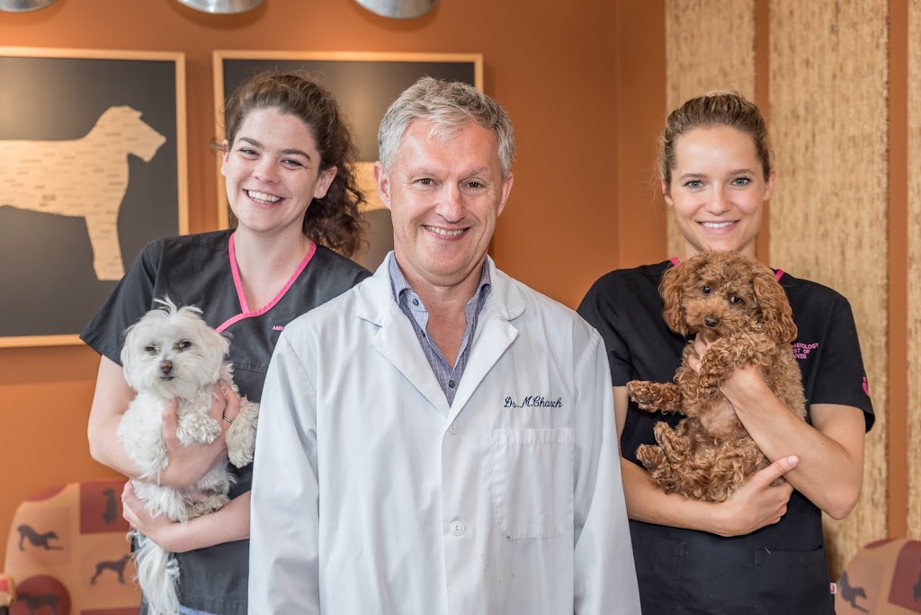 Animal Dermatology Specialists of Vancouver | 1316 W 4th Ave, Vancouver, BC V6H 4A3, Canada | Phone: (604) 558-3376