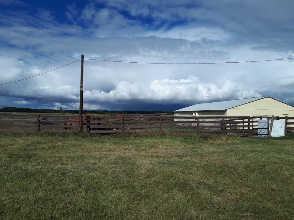 Wolf Hollow Ranch | 37242 RR 21, AB T4E 2L9, Canada | Phone: (403) 426-0072